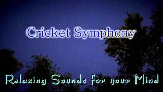 🎧 NATURE SOUNDS for Relaxing, Meditation & Sleep... Night Time Cricket Sounds by Sounds by Knight 957,748 views 12 years ago 1 hour