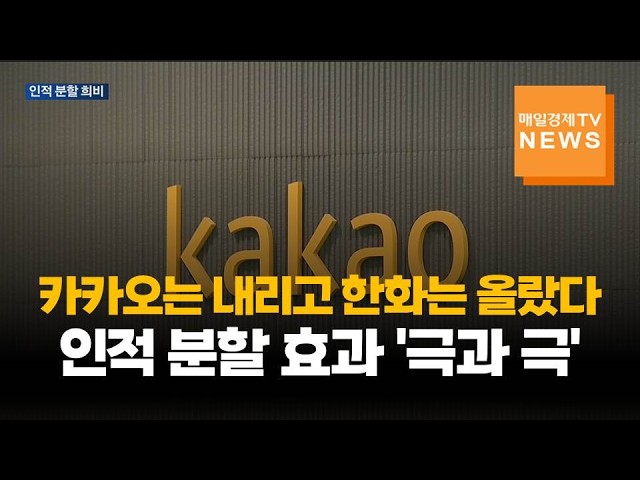 인적 분할 효과 '극과 극'…기업마다 시장 평가 엇갈려