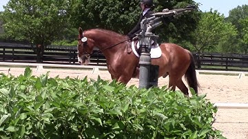 Training Level Test 3 (2019) with scores and judge