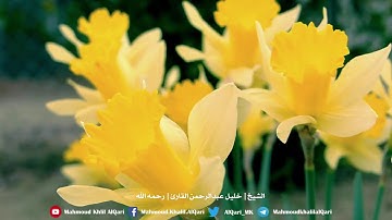 سورة القيامه تلاوة تحبيريه خاشعه الشيخ خليل عبدالرحمن القارئ رحمه الله