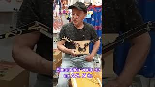 Recreando vuelo de un AVE. #educativo#maqueta#manualidades#reciclaje#tupuedes#dyi
