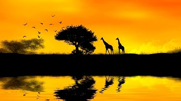 من سورة يس تلاوة رائعة للقارئ سعيد الخطيب 1437