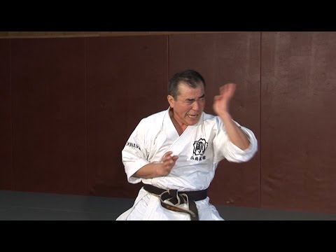 Shisochin - Kata Karate Goju-Ryu