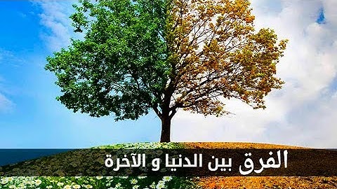 مقطع مؤثر من سورة ال عمران بصوت الشيخ حمزه محمدالفار