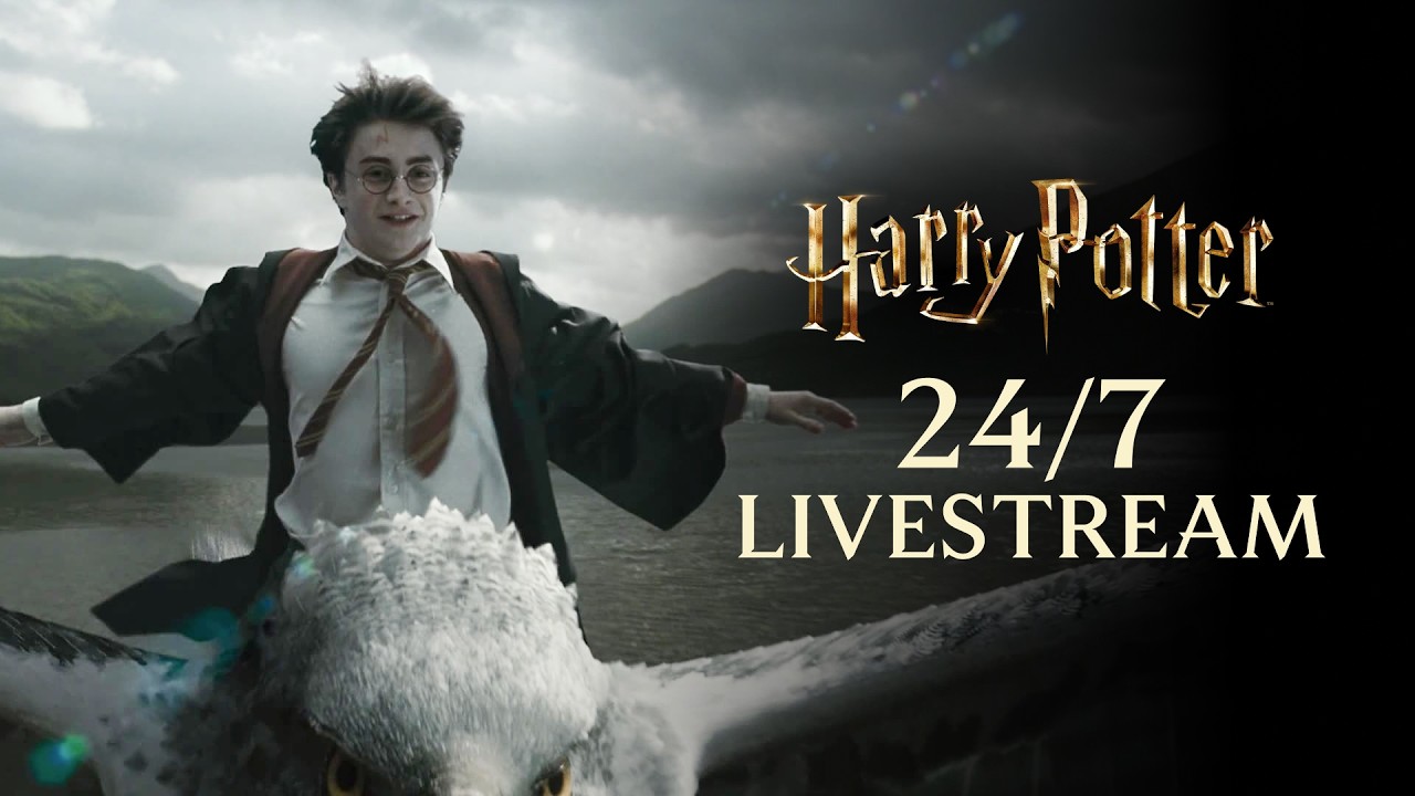 🔴 LIVE: Harry Potter Compilation | 24/7 Livestream