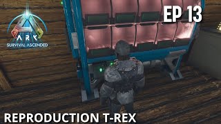 Commençons La Reproduction Des T-Rex Ark Survival Ascended