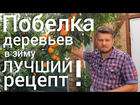 Побелка деревьев осенью. Старинный проверенный рецепт