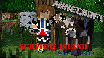 Minecraft Survival Island: Getting Started! (S1:E1)