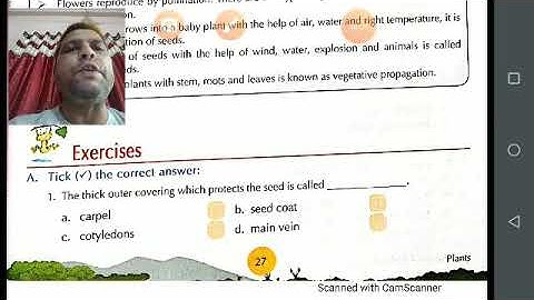 Class V EVS 12-05-2020 by Mr Rupesh (1)