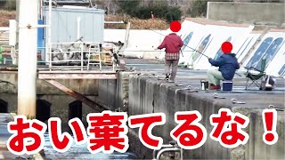 おい棄てるなよ！！！おばちゃんが堤防で釣ったはらぱん捨てやがるのでつい・・・