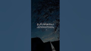 عبد الرحمن مسعد| سورة آل عمران #اكسبلور #قرآن
