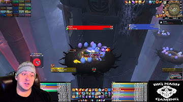 Heroic Ji-Kun Raid Guide