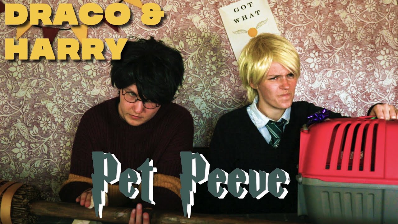 Harry & Draco Pet Peeve [Skit] YouTube