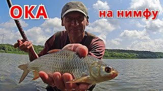 видео: Привязал НИМФУ и ПОЙМАЛ ЖИРНУЮ ПЛОТВУ. Рыбалка на Оке на боковой кивок в июне. картинка: Привязал НИМФУ и ПОЙМАЛ ЖИРНУЮ ПЛОТВУ. Рыбалка на Оке на боковой кивок в июне.