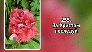 Гимны надежды 255 За Христом последуй (-)