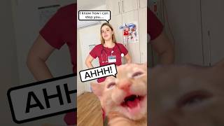 Nurse Finds Best Way To Deal With Screaming Cats #Shorts #Cat #Funny