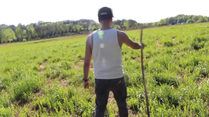 Hollywood Pompeii x Chapter 2 Page 7 (Directed by Willam VanAlst)