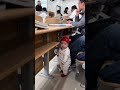خطف الأضواء