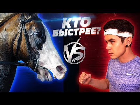 Видео: Должны ли использоваться лошади в беспорядках?
