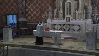 Memorial of Saints Marcellinus and Peter