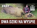 Darz Bór odc. 437 Dwa dziki na wyspie.