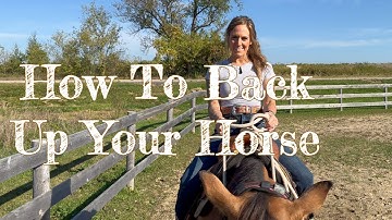 Lesson 4: How to Back Up Your Horse