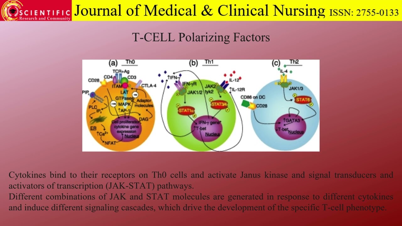 MicroRNAs & #immunity  #explained  🧬 | Follow for #daily  #science  #shorts