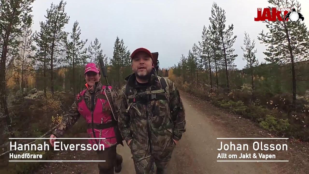Allt Om Jakt Och Vapen
