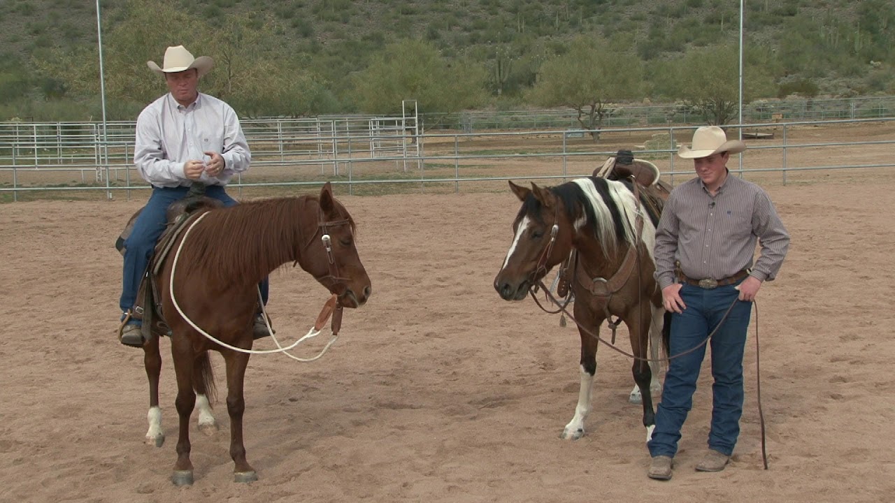 How to Change Your Horse's Attitude