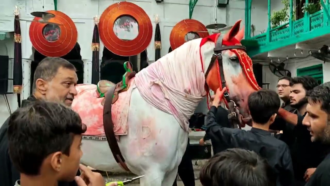 7 Muharram Tayari zuljana sardar badsha nisar havely mochi gate