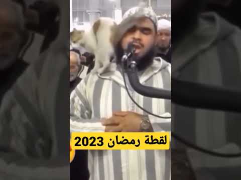 الفيديو الذي هزالقلوب قطة في صلاة التراويح وامام بها رحيما