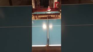 Ping pong #Ryder #daddylonglegs #ping pong #funny