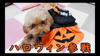 【超簡単！】マント付きハロウィンワンピース