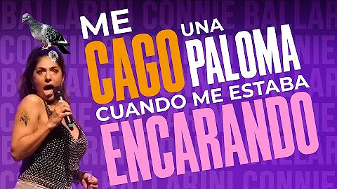 ME CAG UNA PALOMA CUANDO ME ESTABA ENCARANDO