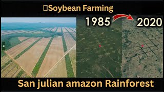 Soybean farming San Julian amazon rainforest || 1985 - 2022 Timelapse