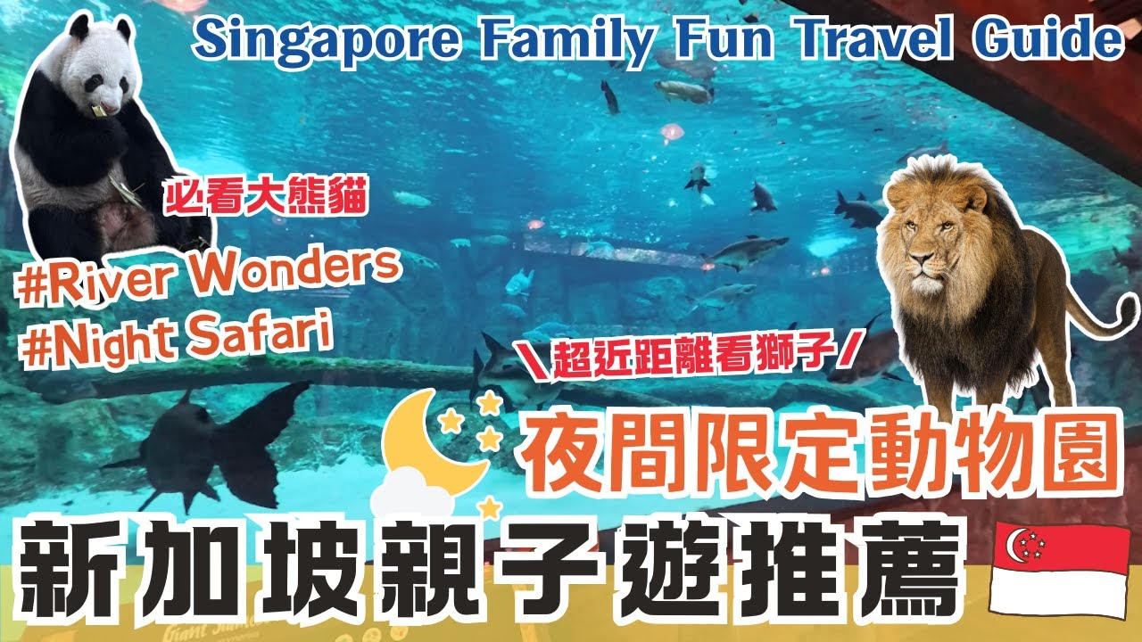 新加坡自由行🌴全球第一個夜間野生動物園🐘超近距離看獅子、老虎、黑熊｜兩大必看表演入場須知⚠️錯過就看不到了❗｜一定要搭刺激遊船🛶深入亞馬遜叢林｜新加坡親子景點推薦｜Singapore View