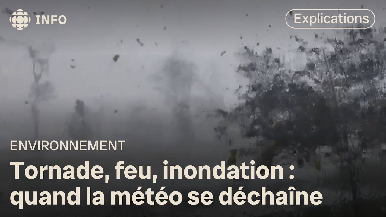 Débardeur Homme Tornade Météo - Design Chasseur D'orages, Coton, Coupe Classique