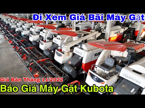 Video: Thẻ kiểm soát tài chính nội bộ: dùng để làm gì, điền mẫu