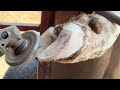 PAINFUL GROWTH Between This Cow's Toes! | Hoof Healers