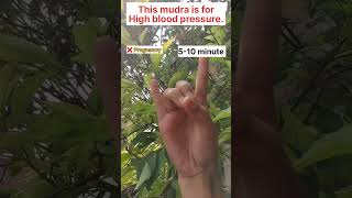 This mudra is for High blood pressure ✨️yoga yogaforbeginners mudra meditation