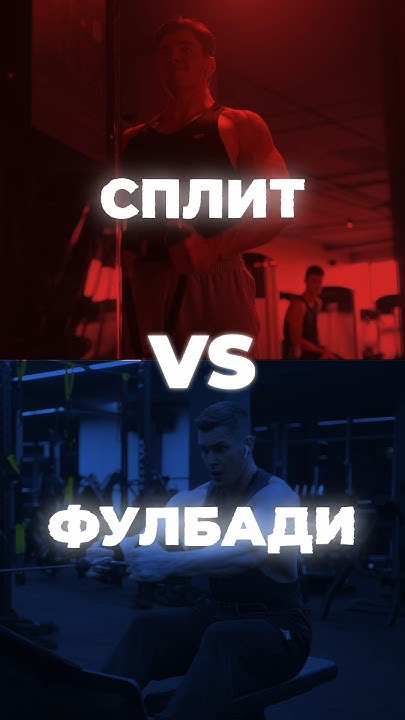 Сплит или Фулбади? #тренировка #упражнения #фулбоди #фулбади - YouTube