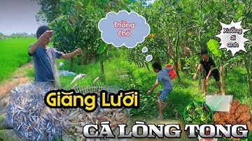 Ra Đồng GIĂNG LƯỚI Cá LÒNG TONG Và Săn Bắt Về Chế Biến Món Ăn Dân Dã. Lang Thang Miền Tây