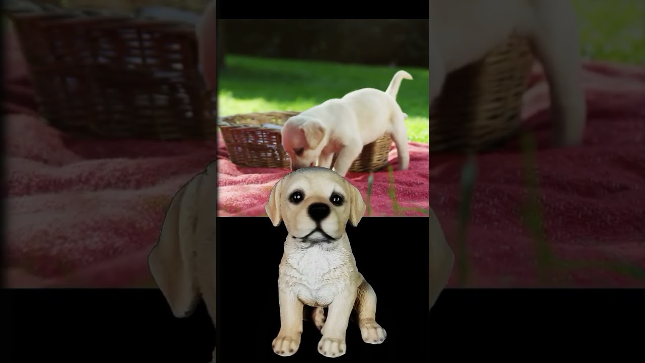 Vivid Arts Pet Pal Golden Labrador Puppy Ornament | Vivid Arts Puppy