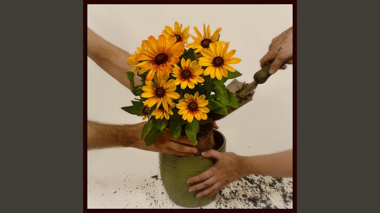 It Gets Better (feat. B2E5N)