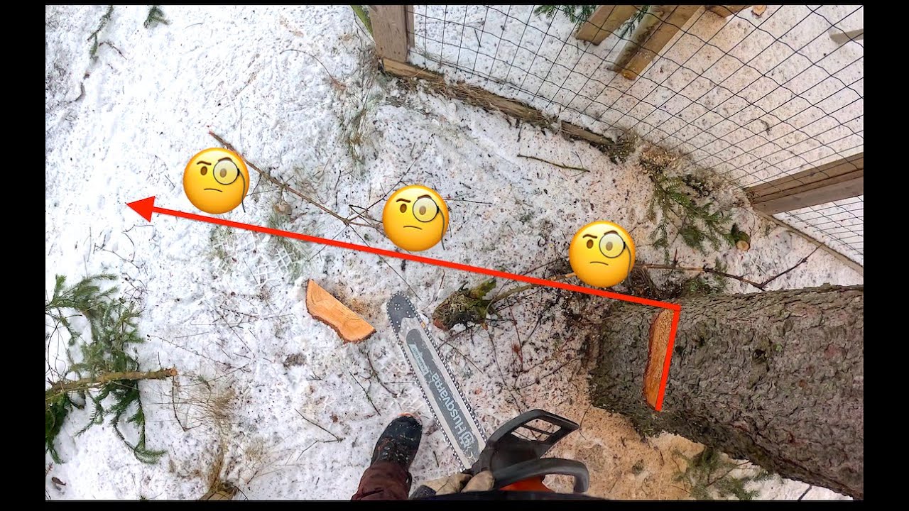 Myönnetään, tämä on Akujelpin heikkous. Husqvarna 572 xp.