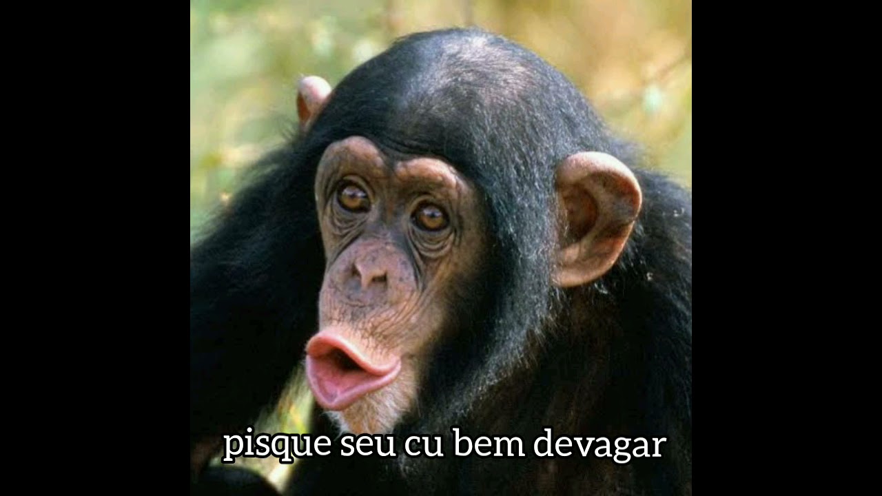 pisque o cu bem devagar - YouTube