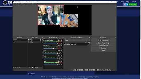 Using multiple cameras with zoom or google meeting with OBS