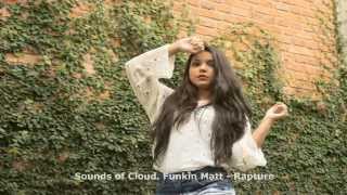 Funkin Matt - Rapture