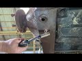 Chaincase Weld Repair Featuring Vevor MIG-130 Flux Core Welder &amp; New Holland L445 Skid Steer