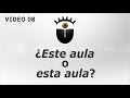 08- ¿Este aula o esta aula?